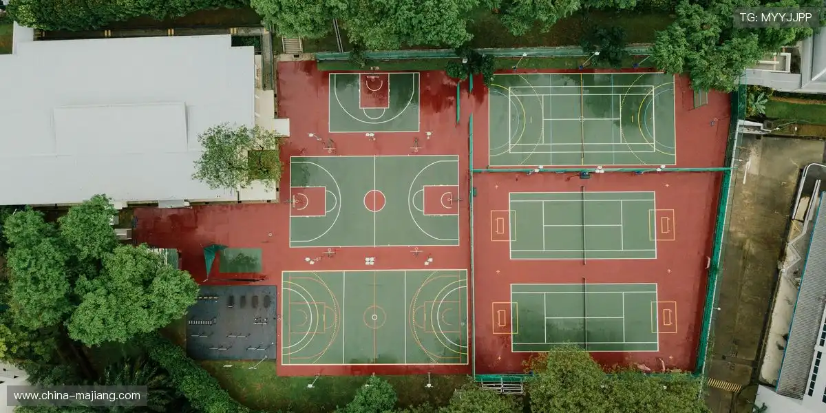 🚀 同步直播输出,媒体传播无延迟